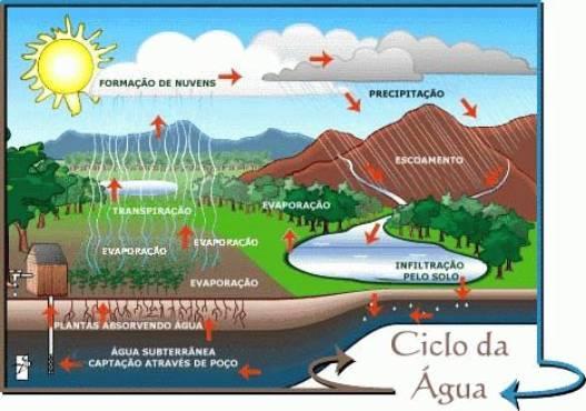 Ciclo