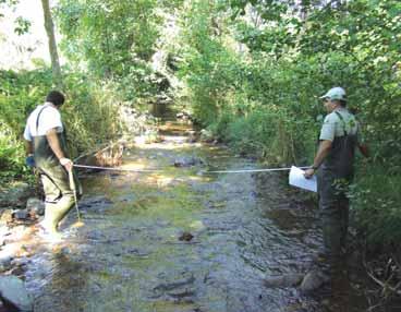 A deposição de quantidades anormais de sedimentos finos no substrato dos rios pode provocar alterações nas cadeias tróficas aquáticas, desde logo ao nível da produtividade primária e consequentemente