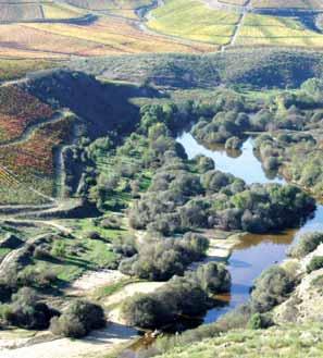 A DGRF, ao reconhecer a importância da biomonitorização na avaliação do estado ecológico e na gestão dos sistemas fluviais, e antecedendo a implementação da DQA em Portugal, procurou desde logo
