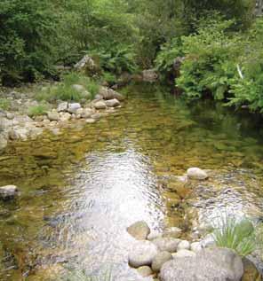 I.9 Exemplos de tipos fluviais e respectivas associações piscícolas em rios portugueses Projecto AQUARIPORT Troços fluviais permanentes de águas frias e pouco condutivas; canais com largura média e