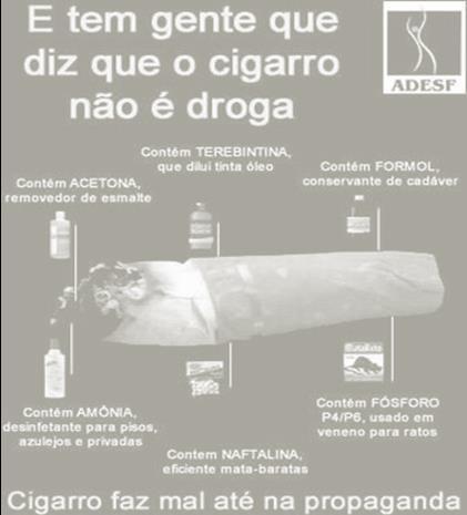 Observe-o com atenção e faça o que se pede abaixo. a) Dê os nomes apontados pelos órgãos de 1 a 4. 1= 2= 3= 4= b) Qual o nome da estrutura indicada pelo nº 5?