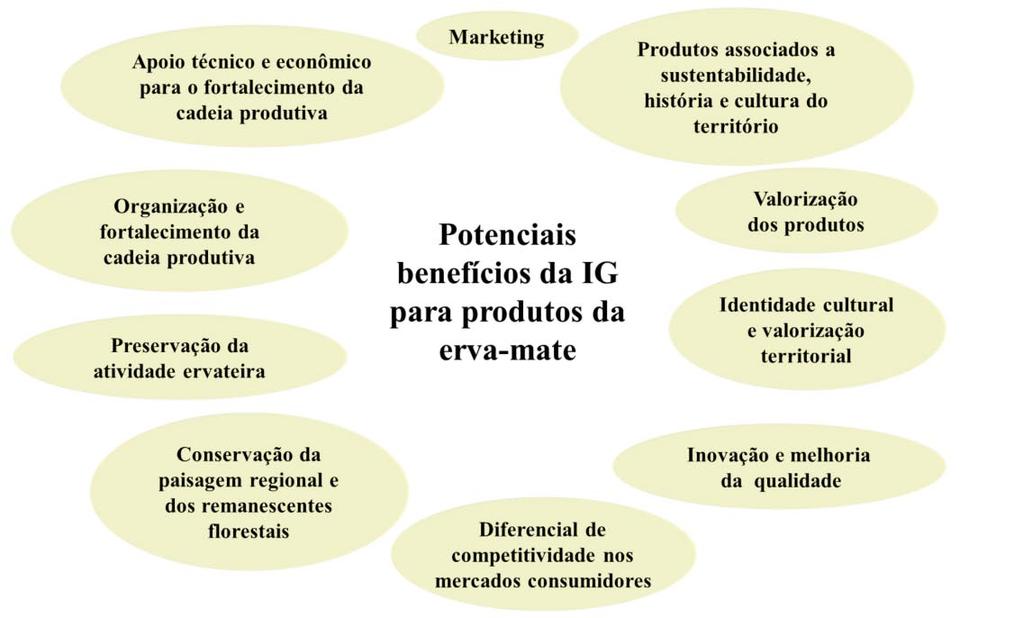 Figura 1 Possíveis benefícios econômicos, sociais e ambientais proporcionados pela construção conjunta de signo distintivo IG para produtos da cadeia produtiva da erva-mate nas regiões do Planalto