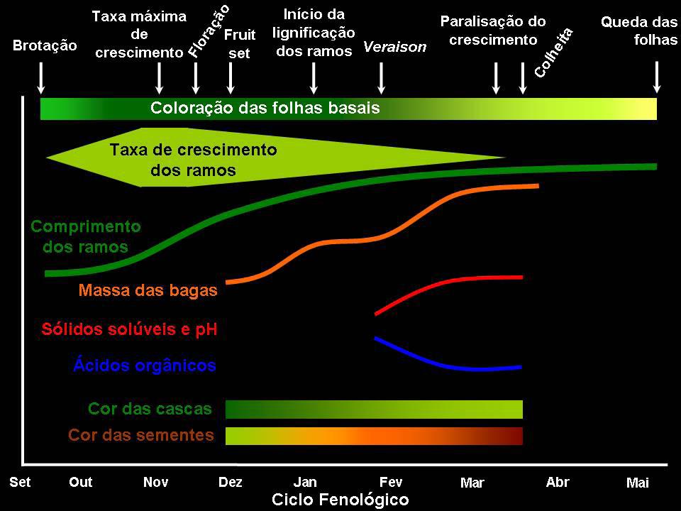 Esse conceito remete a um caráter distintivo e único, associado à dinâmica entre as condições locais e o modo de fazer.