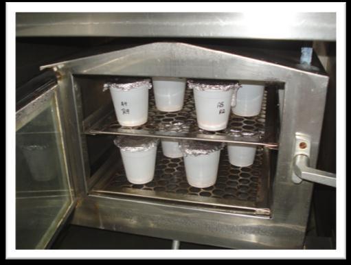4.9 Teste de envelhecimento acelerado Para o qual foram utilizadas 50 sementes/repetição sendo quatro repetições por tratamento, colocadas em copos plásticos com furos no fundo e cobertos com