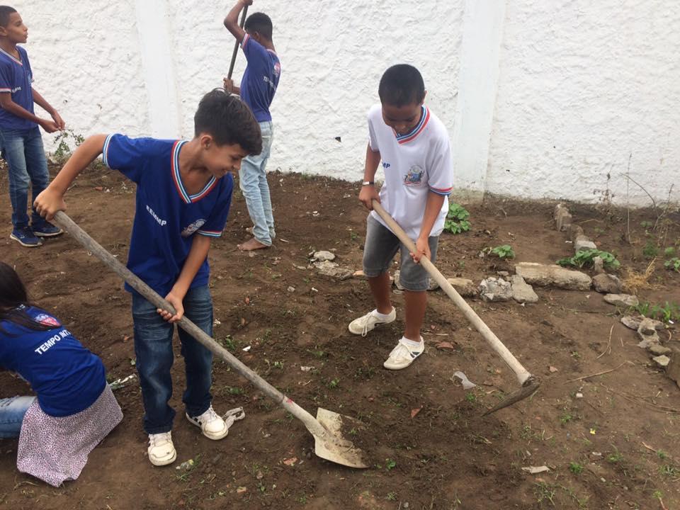 BAHIA Estudantes aprendem sobre educação ambiental e criam horta na escola Os estudantes da Escola Estadual de Tempo Integral Monsenhor Mário Pessoa, no município de Feira de Santana, começaram a