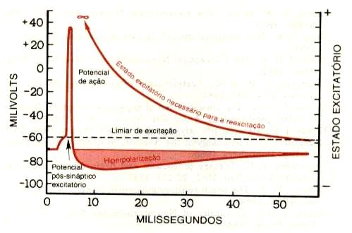 35 membrana for acima de um valor conhecido como limiar de disparo, que pode ser visualizado na Fig. 2.10.