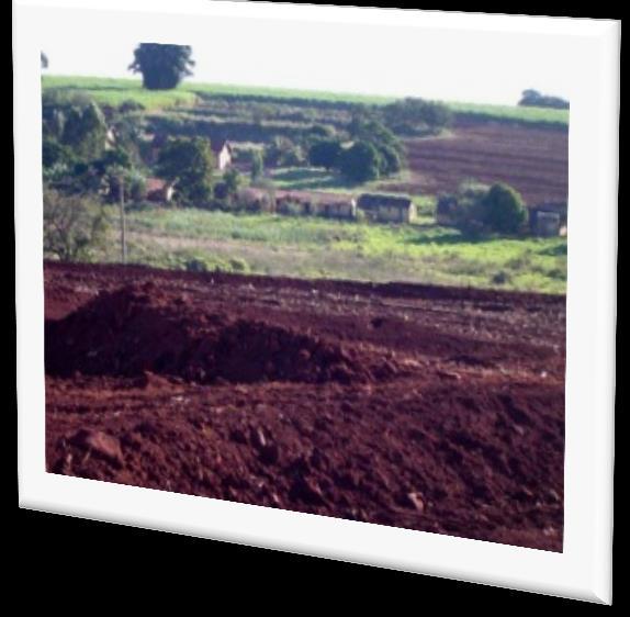 TERRA ROXA Oriundo de rochas vulcânicas da era mesozoica (óxido de ferro e manganês). É um dos solos mais férteis do planeta.