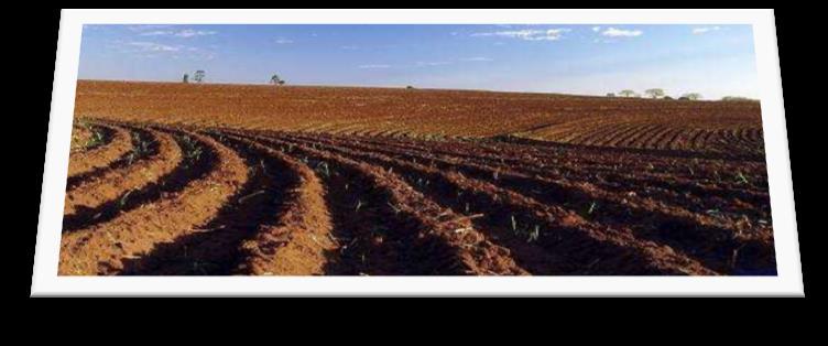 SALMORÃO É um solo arqueano, argiloso, com grande quantidade de areia grossa, proveniente da decomposição de granitos em clima úmido.