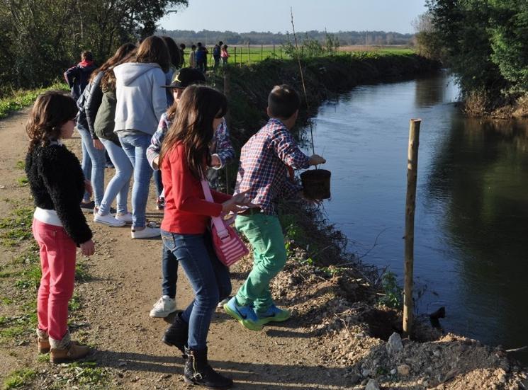 Primavera) são realizadas atividades variadas, que