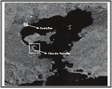Figura1 Foto aérea da Baía de Guanabara, com demarcação da Ilha do Fundão e da área Industrial da Petroflex. Escala 1:50.000 (IBGE) vulneráveis como é o caso de regiões de estuários e manguezais.