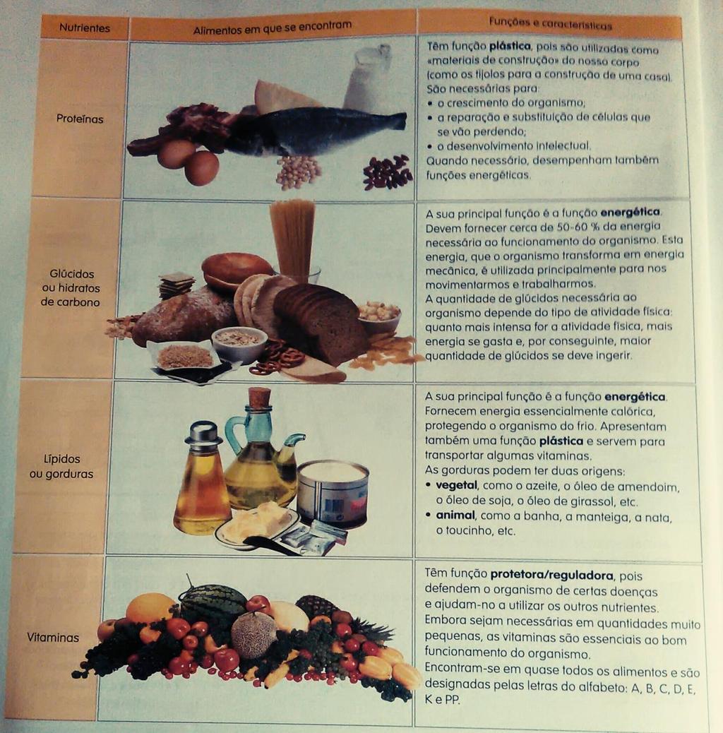 Os nutrientes podem ser agrupados em: Nutrientes plásticos Nutrientes energéticos Nutrientes reguladores Todos os nutrientes são essenciais