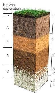 evaporativo da atmosfera Solo Textura Estrutura Profundidade Litologia Rocha mais ou menos compacta Densidade