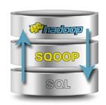 Trabalham com grande volume de dados. Sqoop Sqoop é um aplicativo de interface de linha de comando para a transferência de dados entre bancos relacionais e Hadoop.