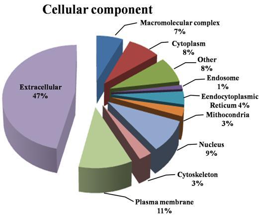 biológico (A), função molecular (B) e componente celular (C).
