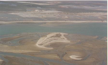 Dissertação de Mestrado Capítulo IV ISL 7 Planície de maré arenosa exposta DESCRIÇÃO: Elas são compostas basicamente por areia e argila; A presença de areia indica que as marés ou as correntes de