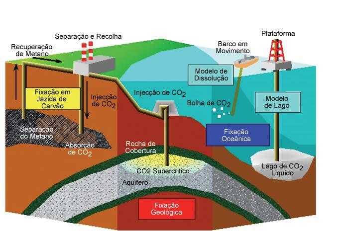 Sustentabilidade Fixação de CO2 Combustível fóssil utilizado para produzir energia elétrica ou outra forma