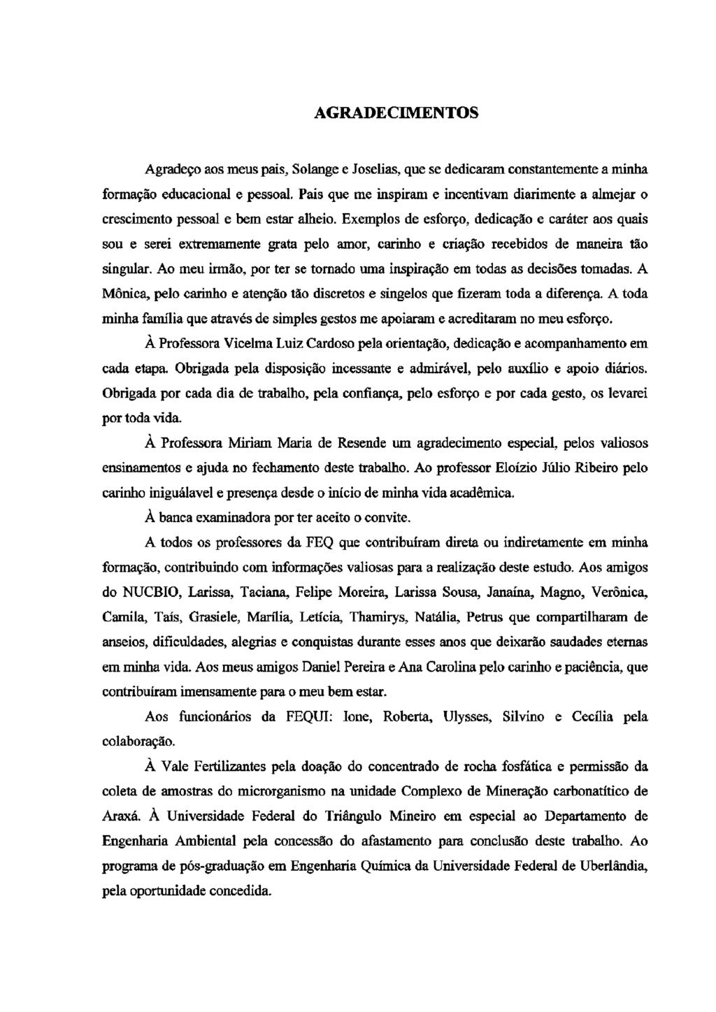 AGRADECIMENTOS Agradeço aos meus pais, Solange e Joselias, que se dedicaram constantemente a minha formação educacional e pessoal.