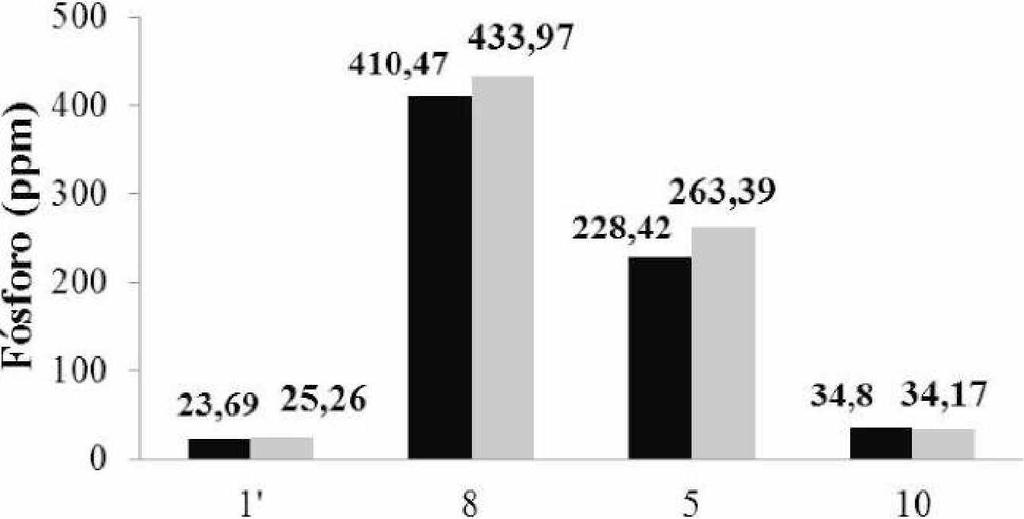 C oncentração de Glicose: 20 g/l 0,125 g/l 0,165 g/l M icrorganism o isolado Figura 4.3- Avaliação da concentração celular em meio reacional líquido. Concentração de glicose: 20 g/l.