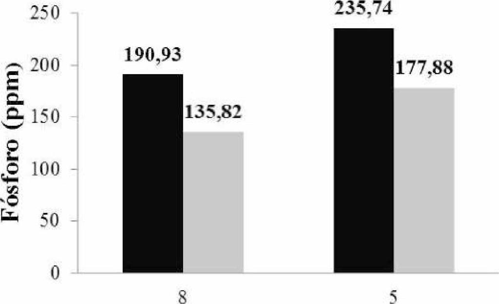 ' C oncentrado dc rocha fosfática: log/l 0.165 g/l 0.395 g/l M icrorganism o isolado Figura 4.