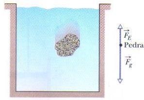 No caso de uma pedra de mesmo volume que o saco plástico, a força gravitacional é maior que a força de empuxo (que