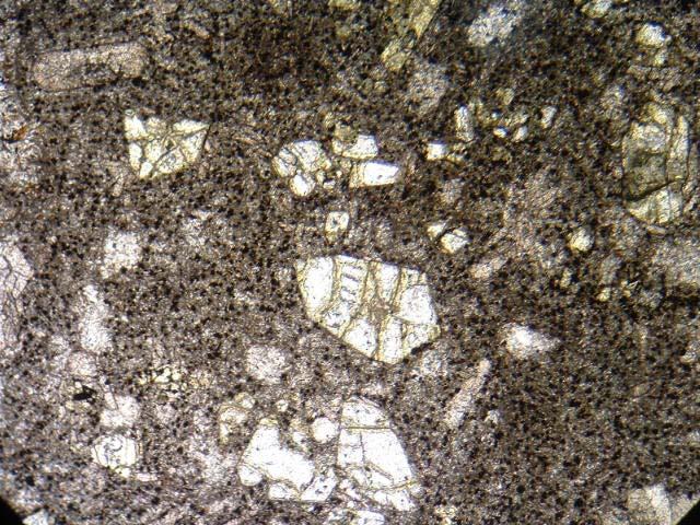 1mm Figura 2.5: Fenocristal de olivina euédrica exibindo minerais de alteração nas fraturas (bowlingita e idingisita).