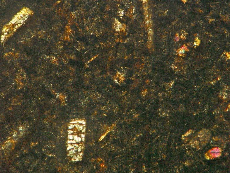 3,0mm). Estes cristais são subédricos a anédricos e intersticiais. Nas bordas dos cristais de augita é possível observar biotita e uralita como produto de alteração do mesmo.