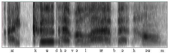 Figura 10 Espectrograma da frase I could have a lab at home.