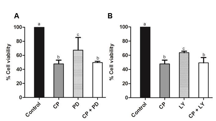 Artigos Científicos CP extract (figure 2A and 2B). These results revealed that the ERK1/2 and PI3K/Akt pathway was not involved in the cytotoxic effect of CP extract. Fig.2. Effect of CP extract in association with inhibitors of ERK1/2 and PI3K/Akt signaling pathways (PD-98059 and LY-294002, respectively).