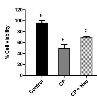 Artigos Científicos Fig. 4. Effect of propolis CP extract on mitochondrial membrane potential in MDA MB-231 cells. Cells were incubated for 24 and 48 h with ¼ IC 50 of propolis.