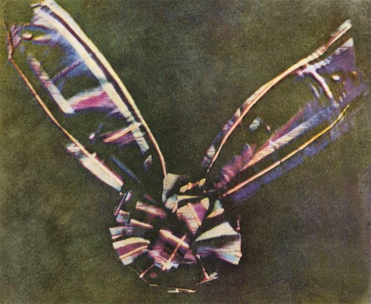 A primeira fotografia em cor é obtida por James Clerk