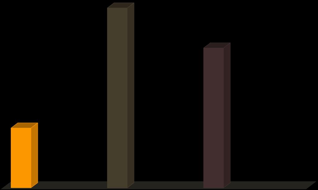 DISTRIBUIÇÃO, POR FAIXA ETÁRIA, DOS USUÁRIOS DA ASSOCIAÇÃO DE IDOSOS