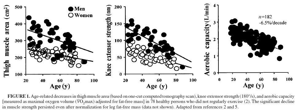 Aging Muscle Am J