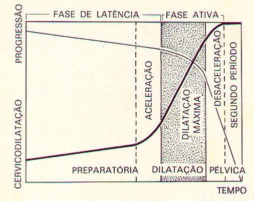 PERÍODO DE DILATAÇÃO padrão evolutivo de Friedman (divisão funcional do