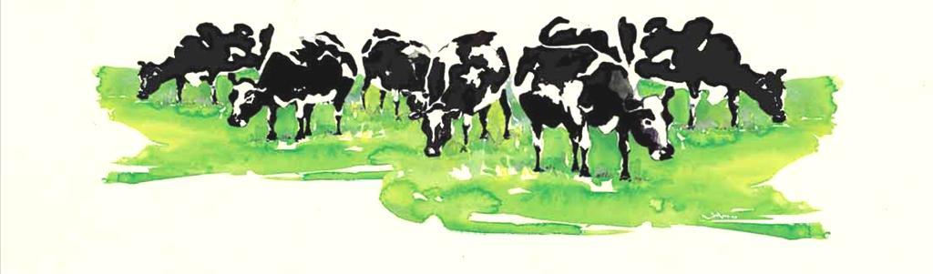 Materiais e métodos Características do rebanho experimental 1000 vacas Holandês Free-stall com camas de borracha Produção média 9.000kg (29,5L/dia).