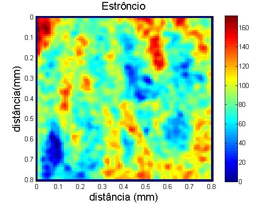 9: Imagens do mapeamento bidimensionais