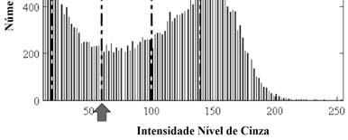 CAPÍTULO 3 (a) (b) (c) (d) (e) (f) Figura 3.16: Limiarização visual por comparação. (a) Imagem original em nível de cinza. (b) Histograma da imagem ilustrada em (a).