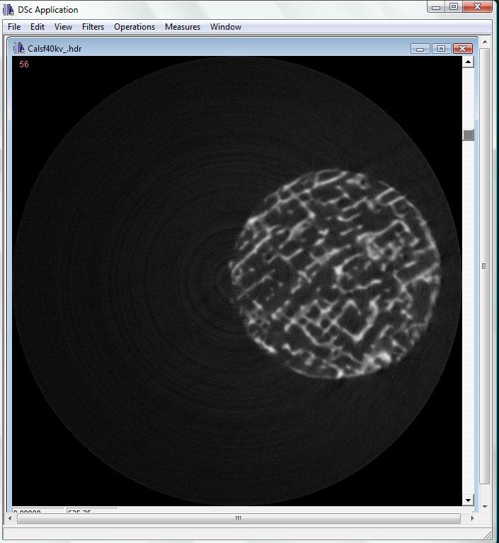 CAPÍTULO 4 Artefato circular Figura 4.4: Imagem 2D da amostra após reconstrução. É possível perceber na figura 4.4 a presença de artefatos circulares.