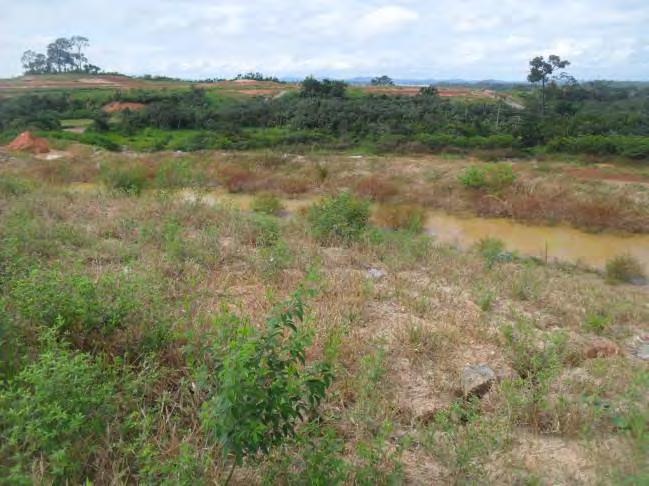 A área de empréstimo foi reconformada com o abatimento dos taludes de corte, terraceamento, hidrossemeadura com