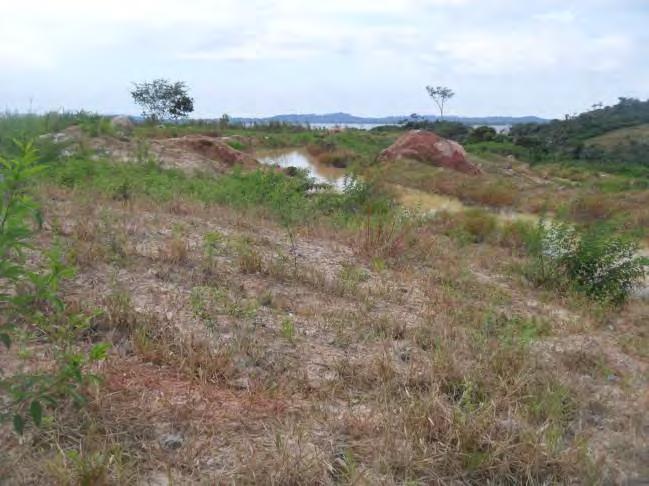 Detalhe de um dos terraços construídos para disciplinar o escoamento superficial na antiga área de empréstimo.