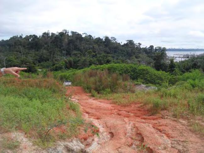 Margem direita do Rio Xingu no Sítio Pimental. AE-MD-1C.