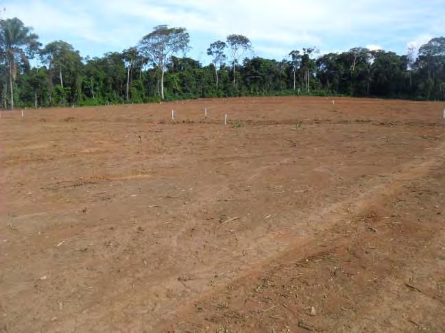 17º Relatório de Monitoramento Socioambiental UHE Belo Monte REGISTRO