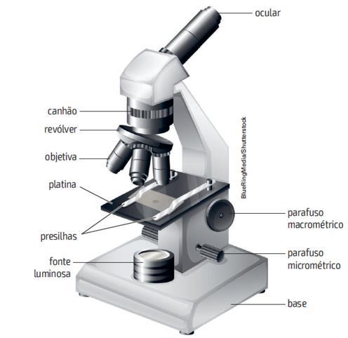 MICROSCÓPIO ÓPTICO MO pág.