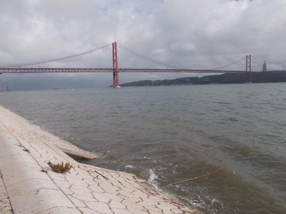 Coloca também graves problemas ao nível do tratamento das águas residuais, tanto em processos físico-químicos, como é o caso da decantação, como em processos biológicos, onde poderá levar à