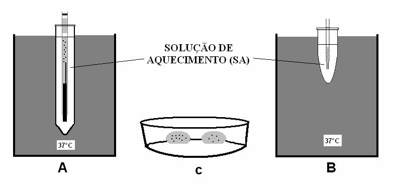 39 Figura 2 - Técnica de aquecimento dos embriões de camundongo.