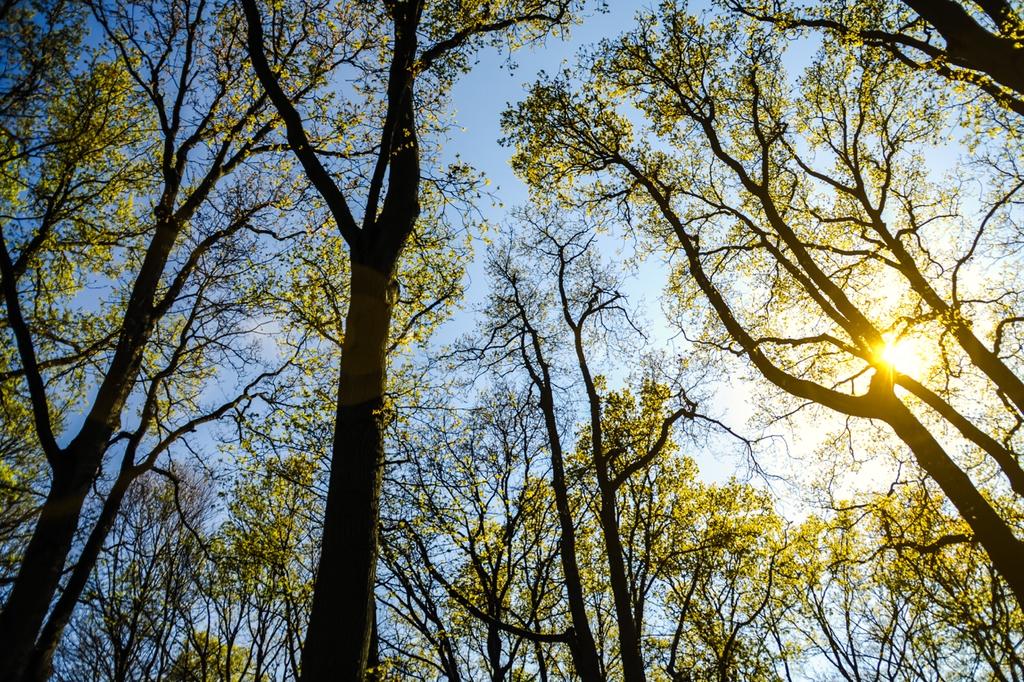 Programa de Gestão de Fornecedores Duratex Gestão para a Sustentabilidade Por fim, a dimensão Gestão para a Sustentabilidade considera duas questões: a gestão socioambiental de fornecedores, isto é,