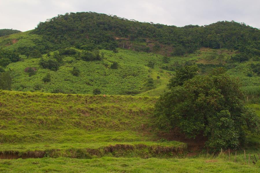 e voçorocas (Figura 6) que evidenciam-se ao longo da paisagem da bacia.