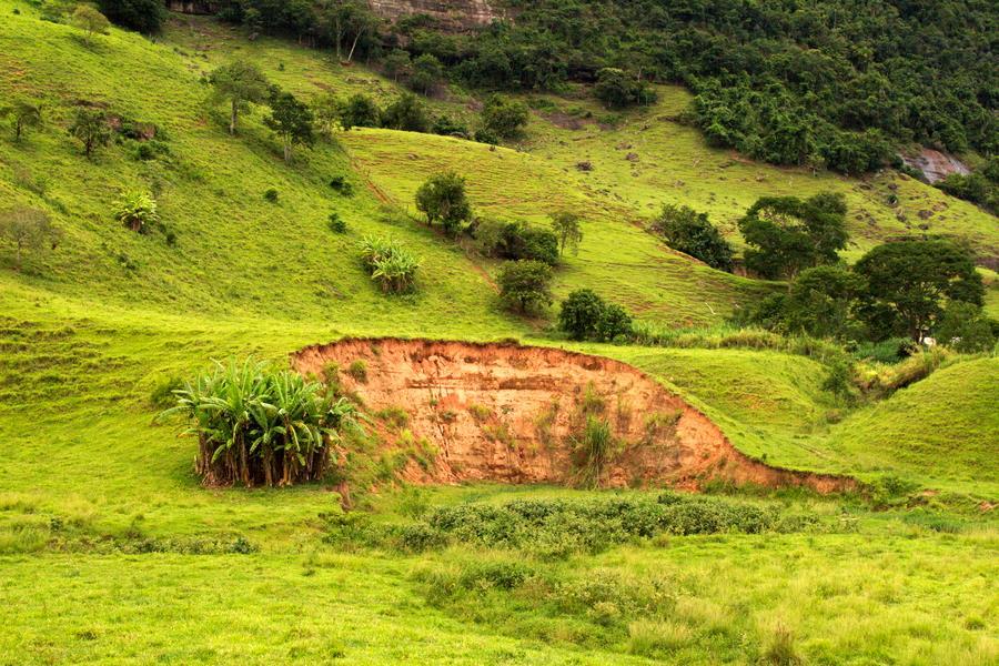 Figura 6: Voçoroca resultante de processos erosivos na bacia do rio Minerva.