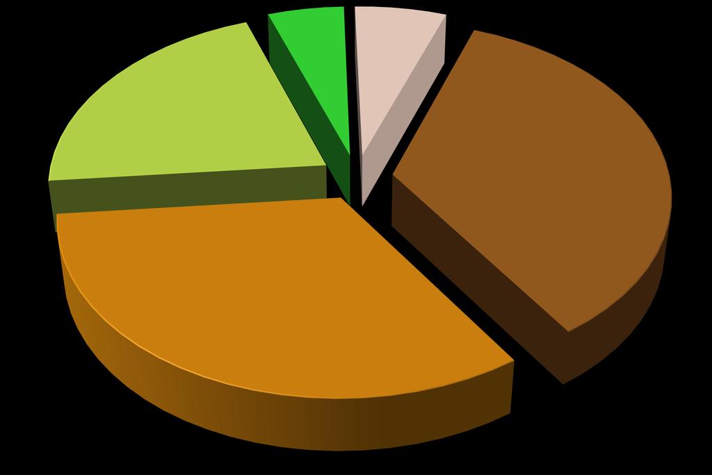 Pedidos de Informação