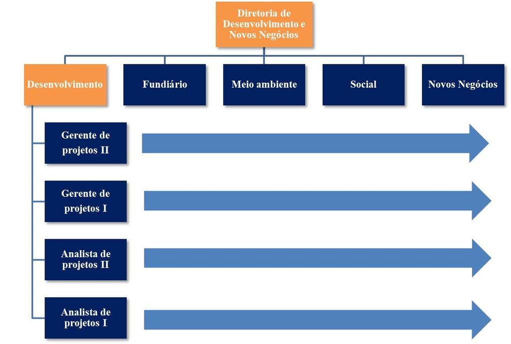 54 Management 7. A Diretoria de Desenvolvimento pode ser representada mais detalhadamente abaixo, ilustrada pela Figura 18.