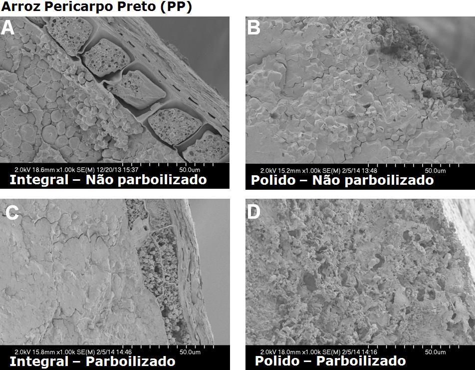 110 Figura 27 - Microgafia de microscópio eletrônico de varredura (MEV) de arroz com pericarpo preto (PP) integral e polido não parboilizado e parboilizado com foco em sua camada de aleurona.